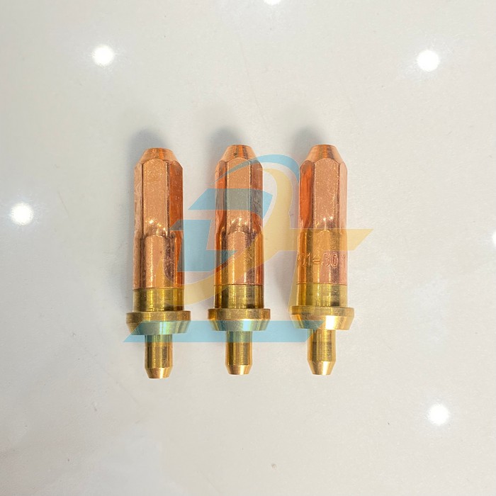 Béc cắt gió đá acetylene G01-30 #1