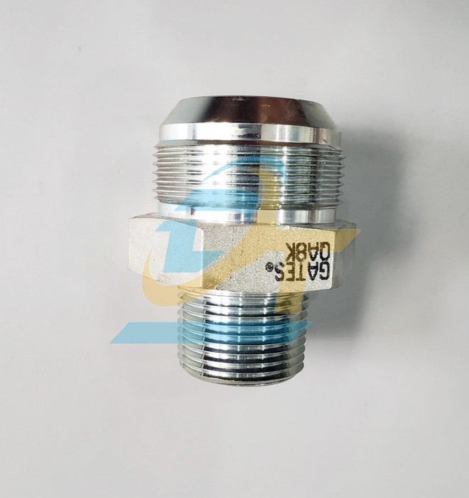 Kép côn inox 201 2 đầu ren 1" - Số 24 (49 lồi, 34 lõm)
