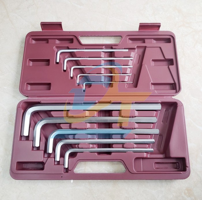 Bộ lục giác 10 chi tiết hệ mét Top TWT-10