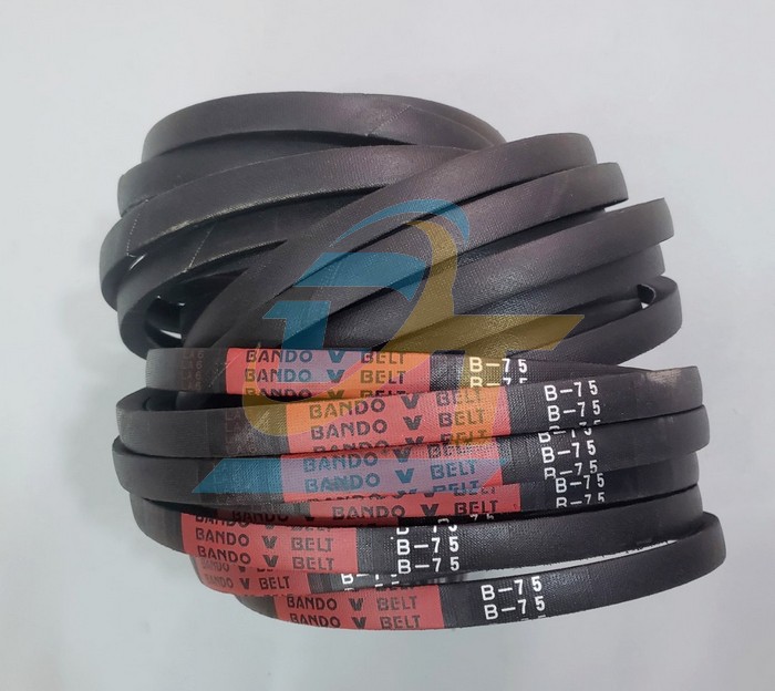 Dây curoa Bando B75
