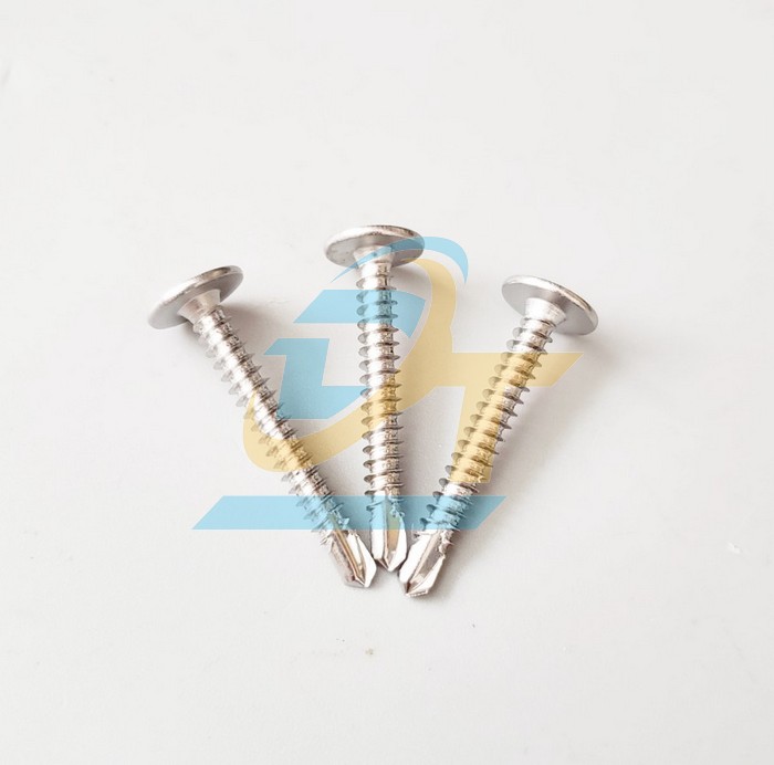 Vít sàn đầu dù đuôi cá inox 304 30mm