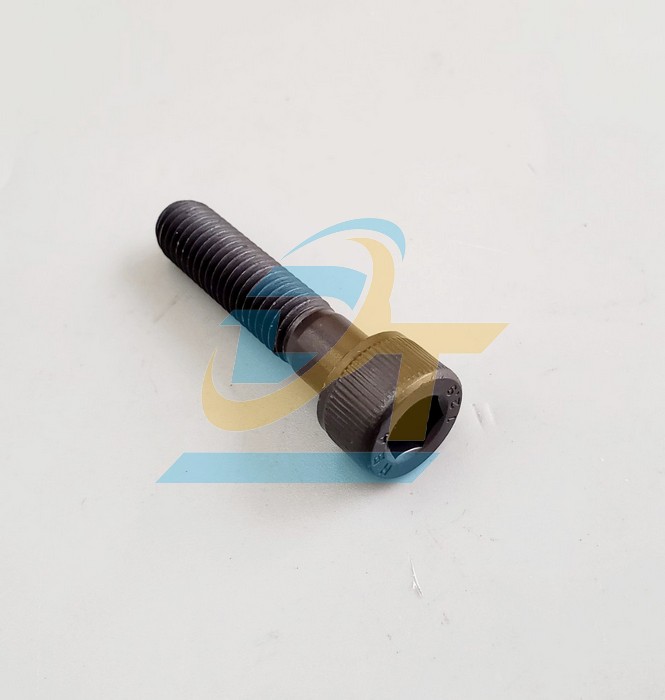 Bulong lục giác chìm đầu trụ thép đen ren lửng M12x35