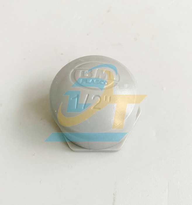Nắp bít PVC ren trong 21 Bình Minh