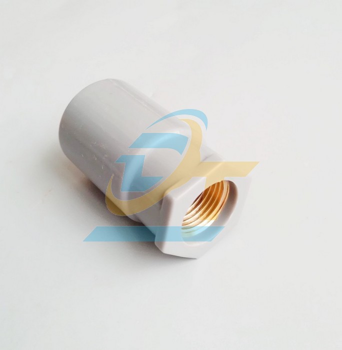 Nối PVC 27 ren trong thau 21 Bình Minh