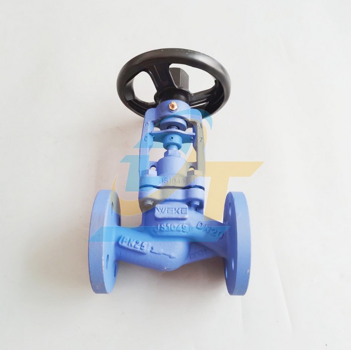 Van cầu hơi nối bích PN25 WEKE DN20