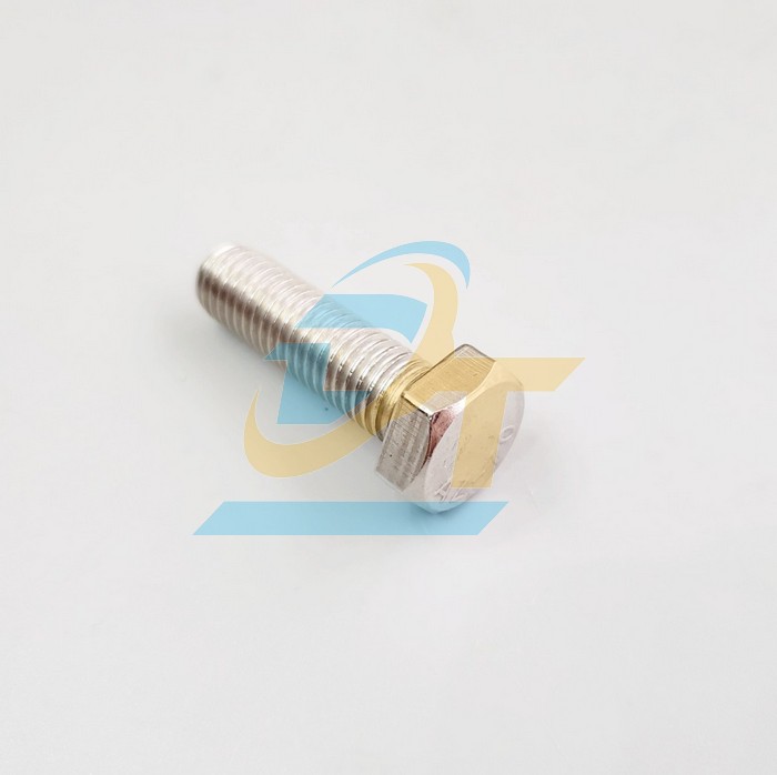 Bulong inox 201 M10x10