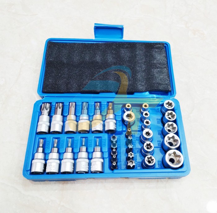 Bộ khẩu E và tuýp hoa thị T 34 chi tiết 1/4" - 3/8"