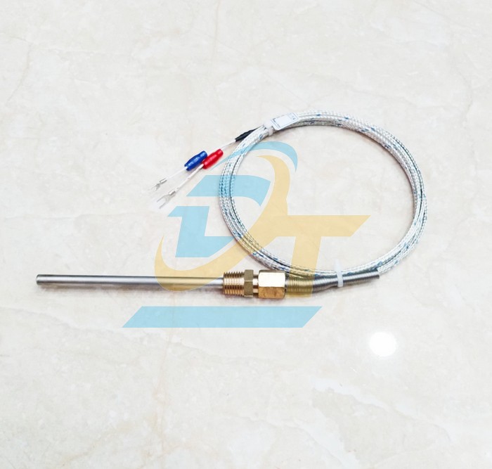 Cảm biến nhiệt độ loại K M6x100mm Samil TW-N-K-6-0.1-1/4" (2M)