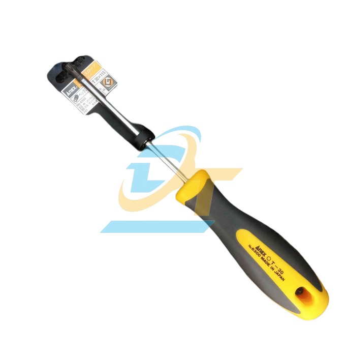 Tô vít hoa thị có lỗ No.6300-T10x80 Anex