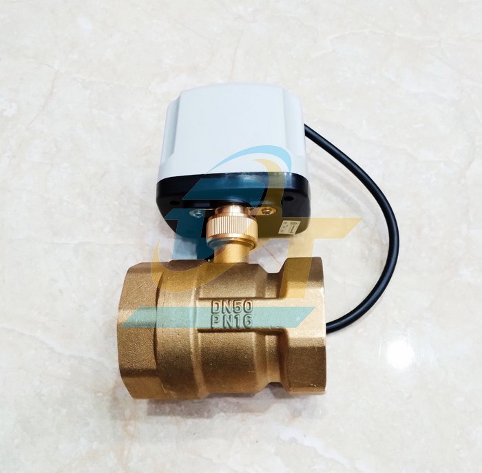 Van bi đồng xoay điều khiển bằng điện 220V DN50