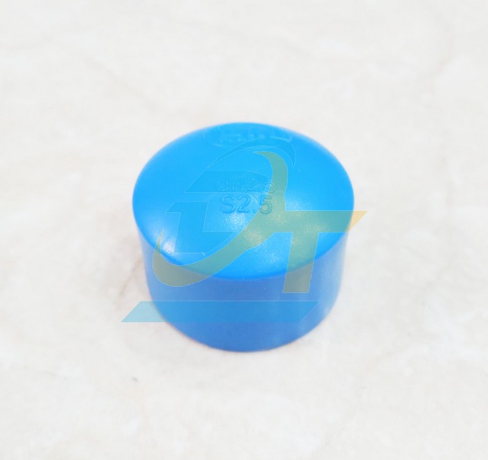 Nắp bít trơn PPR Bình Minh 25