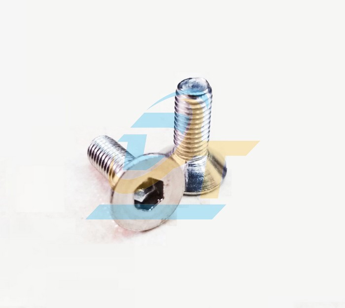 Bulong lục giác chìm đầu bằng inox 304 M10x25