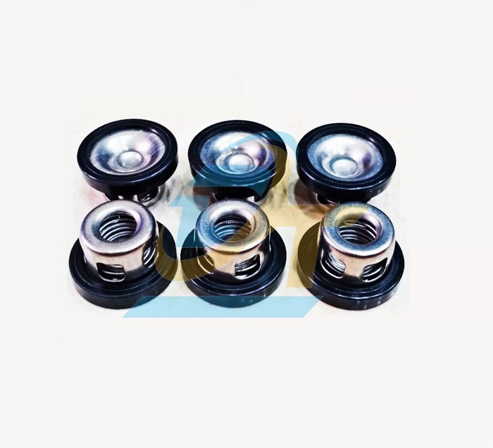 Van 1 chiều (Luppe) máy bơm xịt rửa xe áp lực 2HP