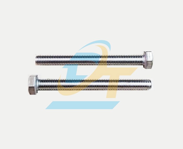 Bulong inox 304 M8x80