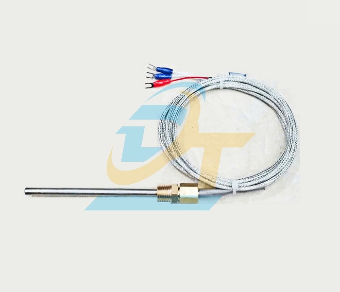 Cảm biến nhiệt độ PT100 3 dây M6x100mm Samil TW-N-PT-0.1-1/4" (2M)