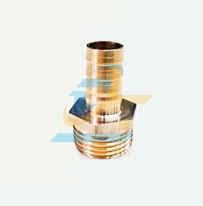 Nối thau ren ngoài 21 - đuôi chuột 12mm