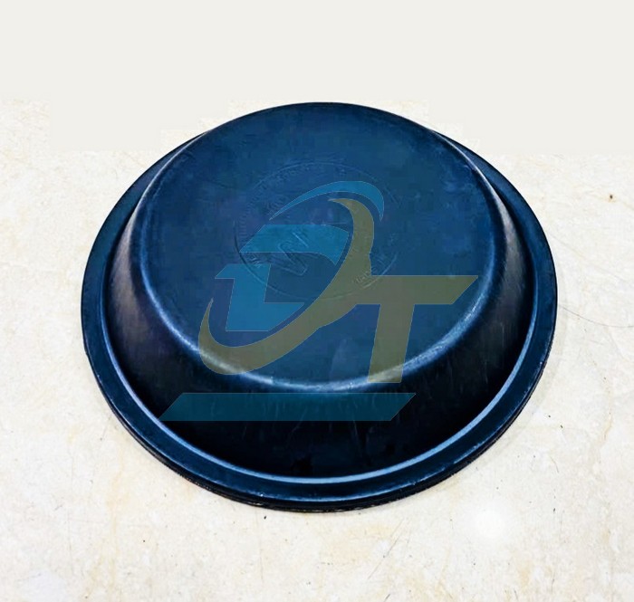 Da thắng b&aacute;t phanh 200mm IWRPI T30