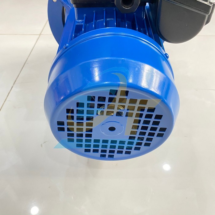 Máy bơm ly tâm Ebara CDXM/B 200/20 CDXM/B 200/20 Ebara | Giá rẻ nhất - Công Ty TNHH Thương Mại Dịch Vụ Đạt Tâm