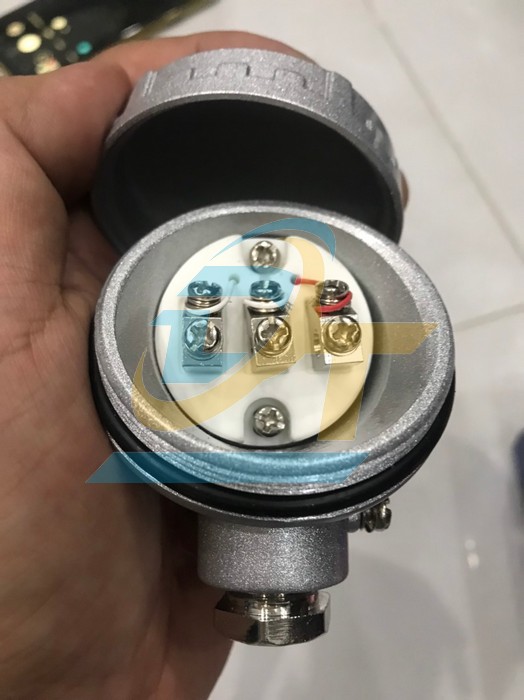 Đầu dò PT100 củ hành phi 6mm x  L150mm  M13*1.0 PT100 VietNam | Giá rẻ nhất - Công Ty TNHH Thương Mại Dịch Vụ Đạt Tâm