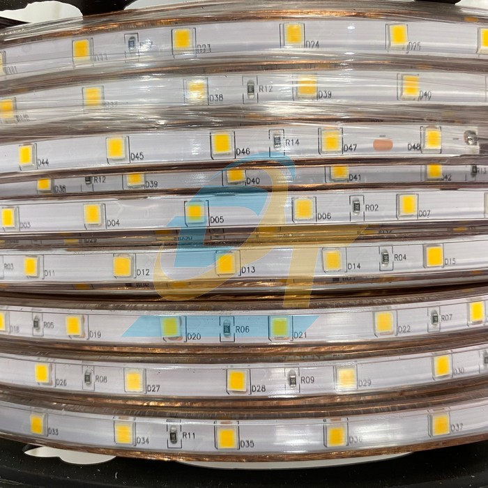 Đèn led dây 5050 220V ánh sáng vàng 100m  China | Giá rẻ nhất - Công Ty TNHH Thương Mại Dịch Vụ Đạt Tâm