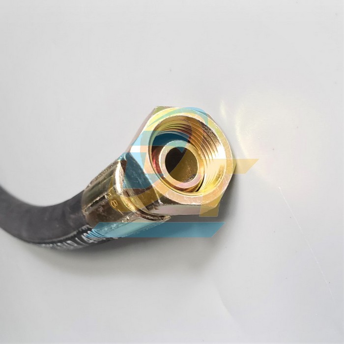 Ống tuy ô thủy lực GPFLEX 1/2"x440mm bấm 2 đầu ren trong 21 côn lồi  GPFLEX | Giá rẻ nhất - Công Ty TNHH Thương Mại Dịch Vụ Đạt Tâm