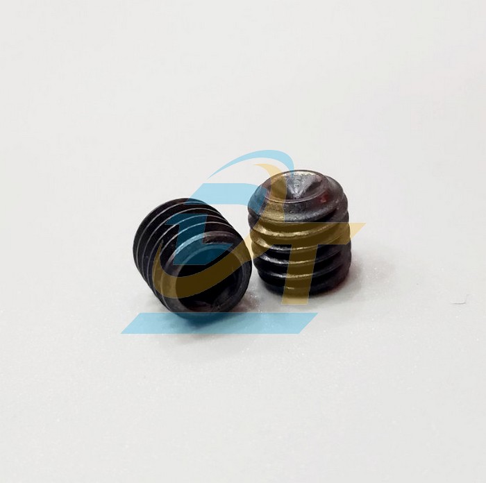 Ốc bịt thẳng MSW M10x1.5P  VietNam | Giá rẻ nhất - Công Ty TNHH Thương Mại Dịch Vụ Đạt Tâm