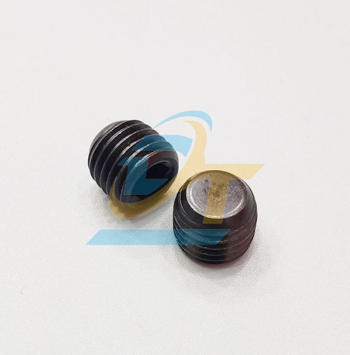 Ốc bịt thẳng MSW M12x1.5P  VietNam | Giá rẻ nhất - Công Ty TNHH Thương Mại Dịch Vụ Đạt Tâm