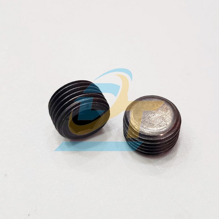 Ốc bịt thẳng MSW M16x1.5P  VietNam | Giá rẻ nhất - Công Ty TNHH Thương Mại Dịch Vụ Đạt Tâm