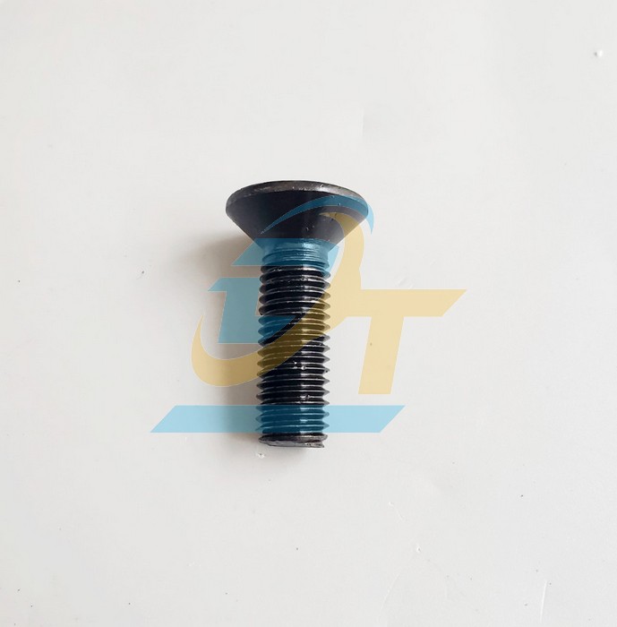 Bulong lục giác chìm đầu bằng thép đen M12x40  VietNam | Giá rẻ nhất - Công Ty TNHH Thương Mại Dịch Vụ Đạt Tâm