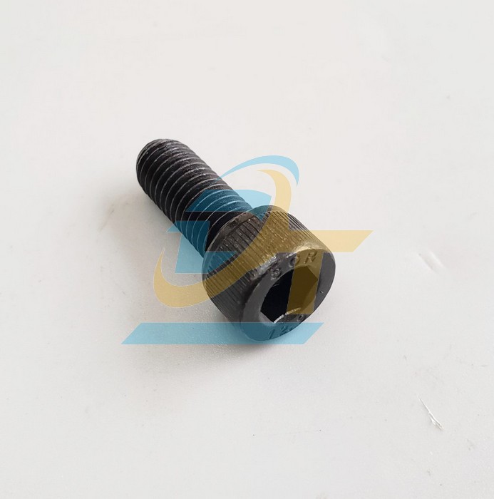 Bulong lục giác chìm đầu trụ thép đen M10x20  VietNam | Giá rẻ nhất - Công Ty TNHH Thương Mại Dịch Vụ Đạt Tâm
