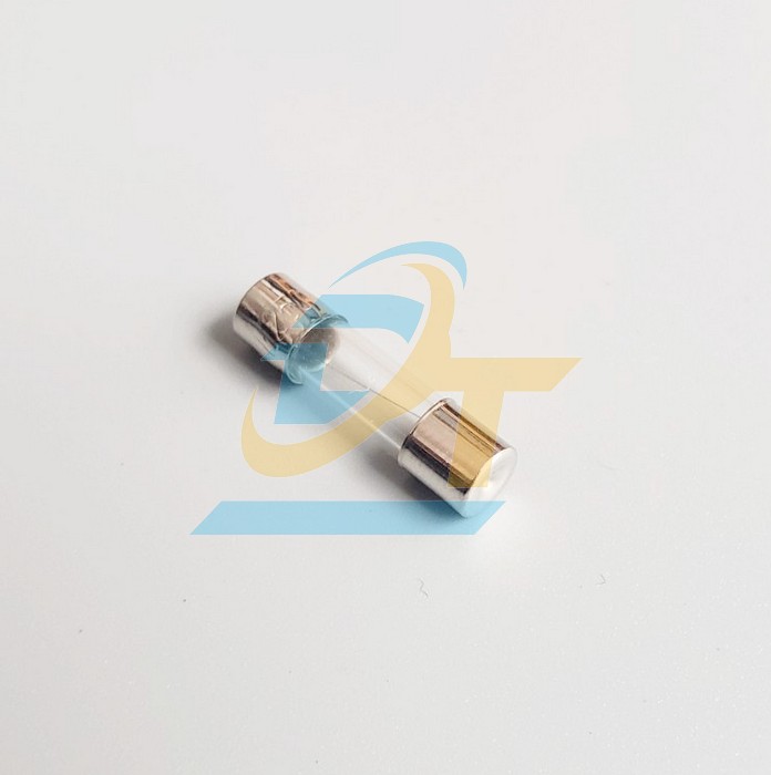 Cầu chì ống thủy tinh 0.1A 5x20mm  China | Giá rẻ nhất - Công Ty TNHH Thương Mại Dịch Vụ Đạt Tâm