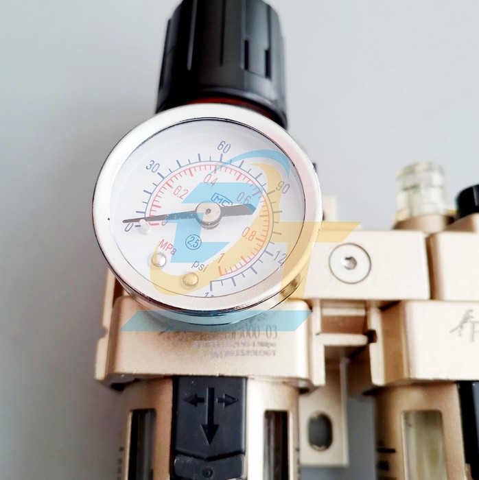 Bộ lọc đôi khí nén PVN AC3010-03 AC3010-03 PVN | Giá rẻ nhất - Công Ty TNHH Thương Mại Dịch Vụ Đạt Tâm