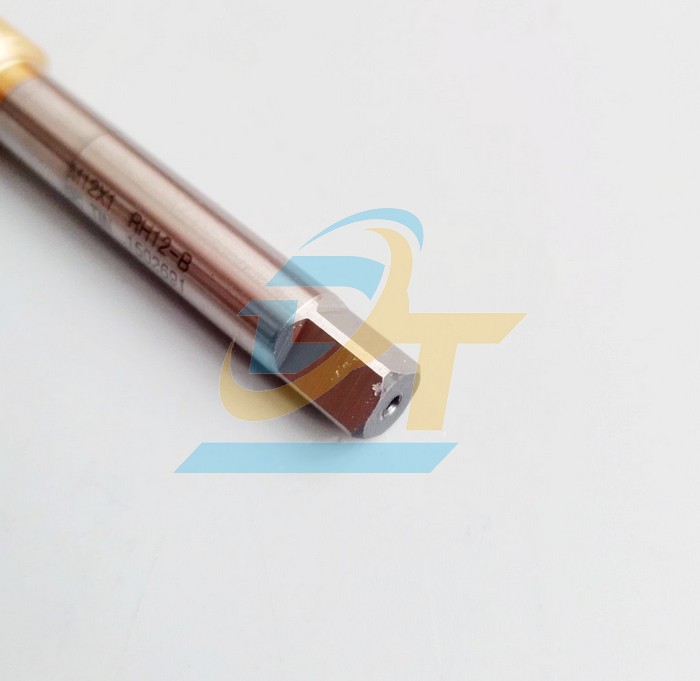 Mũi taro ren nén TIN-NRT RH12-B M12x1  Taiwan | Giá rẻ nhất - Công Ty TNHH Thương Mại Dịch Vụ Đạt Tâm