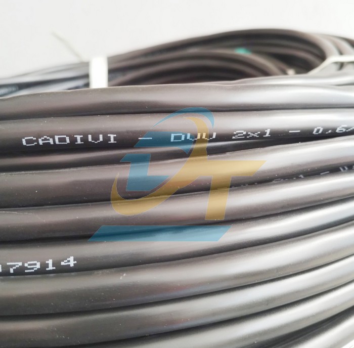 Cáp điều khiển không màn chắn Cadivi DVV 2x1 - 0.6/1kV  Cadivi | Giá rẻ nhất - Công Ty TNHH Thương Mại Dịch Vụ Đạt Tâm