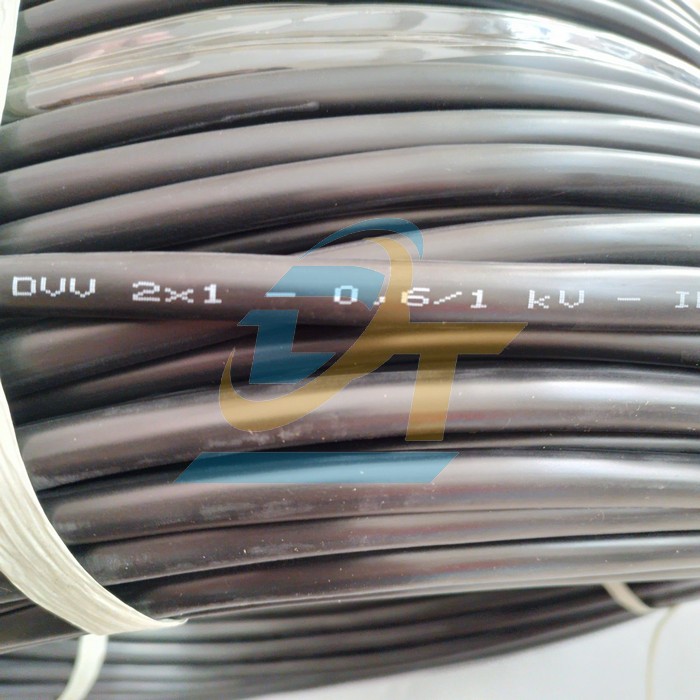 Cáp điều khiển không màn chắn Cadivi DVV 2x1 - 0.6/1kV  Cadivi | Giá rẻ nhất - Công Ty TNHH Thương Mại Dịch Vụ Đạt Tâm