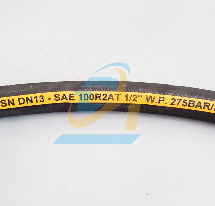 Ống tuy ô thủy lực 2 lớp bố Dynexflex 1/2"x1000mm bấm 2 đầu ren trong 19 côn lõm  DYNEXFLEX | Giá rẻ nhất - Công Ty TNHH Thương Mại Dịch Vụ Đạt Tâm
