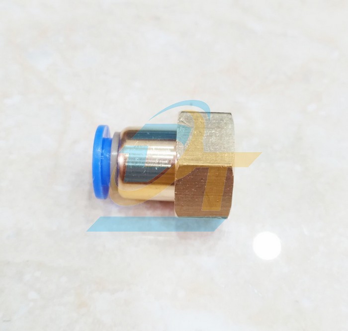 Đầu nối hơi thẳng ren trong 21 ống 10 China CF10-04  China | Giá rẻ nhất - Công Ty TNHH Thương Mại Dịch Vụ Đạt Tâm