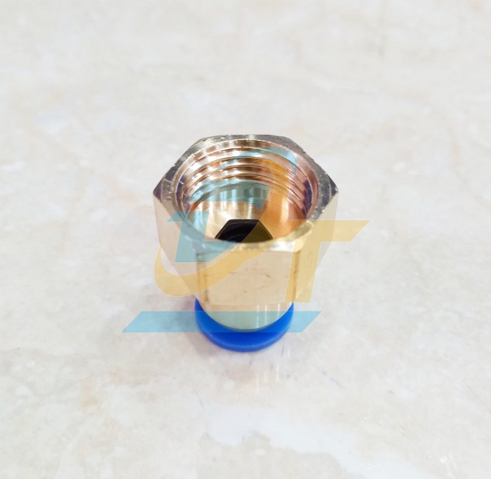 Đầu nối hơi thẳng ren trong 21 ống 10 China CF10-04  China | Giá rẻ nhất - Công Ty TNHH Thương Mại Dịch Vụ Đạt Tâm