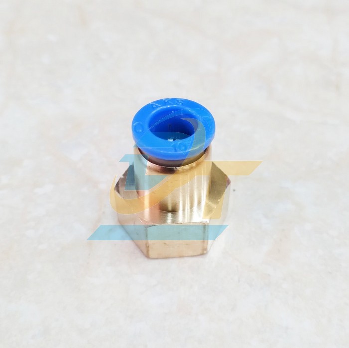Đầu nối hơi thẳng ren trong 21 ống 10 China CF10-04  China | Giá rẻ nhất - Công Ty TNHH Thương Mại Dịch Vụ Đạt Tâm