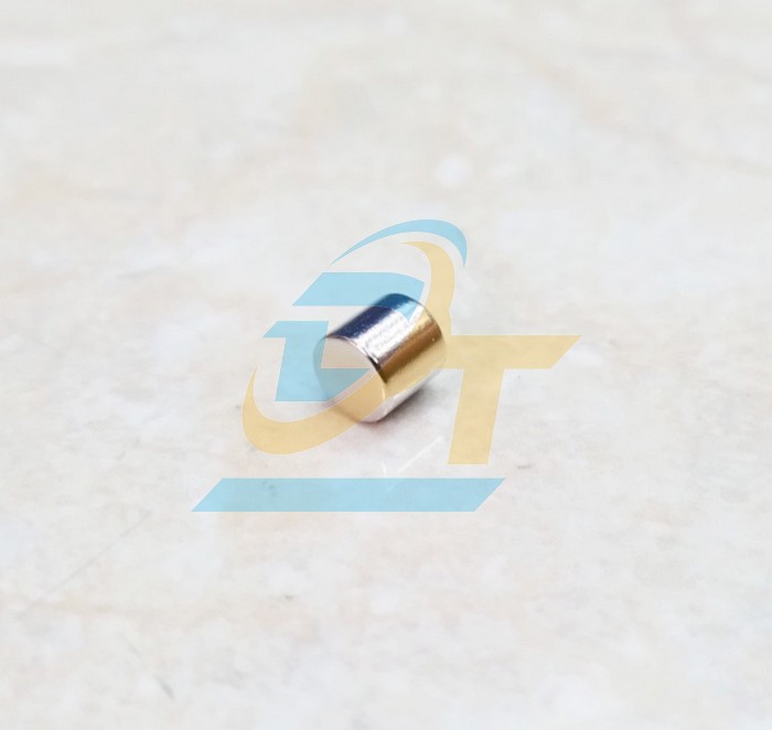 Nam châm viên 5x5mm  VietNam | Giá rẻ nhất - Công Ty TNHH Thương Mại Dịch Vụ Đạt Tâm