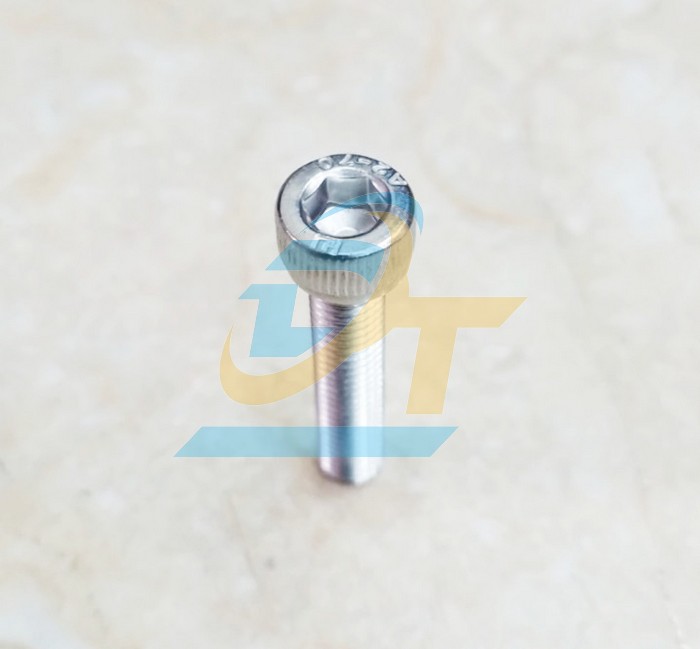 Bulong lục giác chìm đầu trụ inox 304 M12x30  VietNam | Giá rẻ nhất - Công Ty TNHH Thương Mại Dịch Vụ Đạt Tâm
