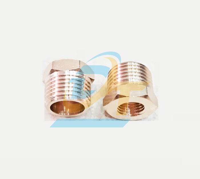 Cà rá thau PT 3/8"-1/2" (RT 3/8" x RN 1/2")  VietNam | Giá rẻ nhất - Công Ty TNHH Thương Mại Dịch Vụ Đạt Tâm