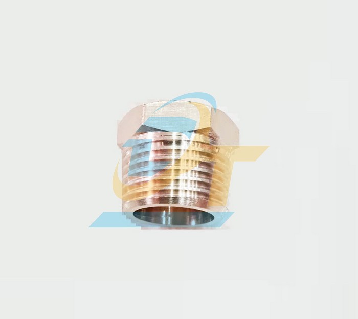 Cà rá thau PT 3/8"-1/2" (RT 3/8" x RN 1/2")  VietNam | Giá rẻ nhất - Công Ty TNHH Thương Mại Dịch Vụ Đạt Tâm