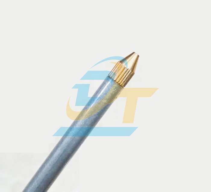 Bình châm nhớt sắt 250g Berrylion 110504250  Berrylion | Giá rẻ nhất - Công Ty TNHH Thương Mại Dịch Vụ Đạt Tâm